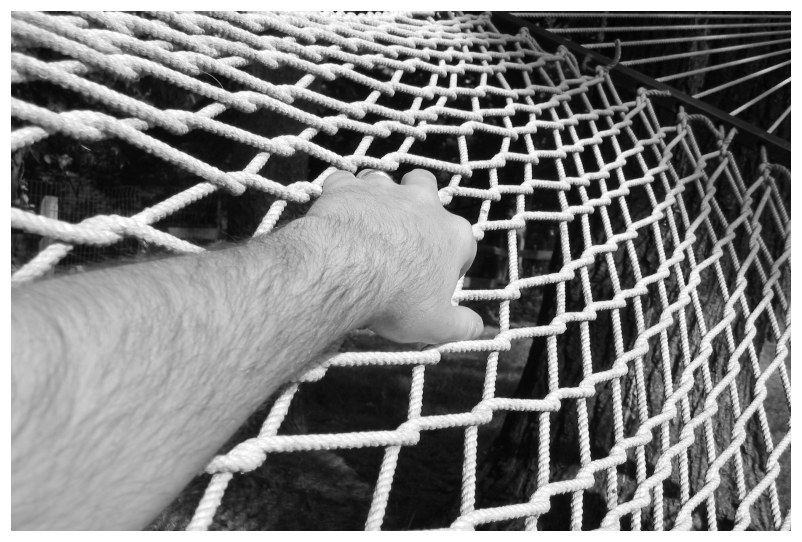 HammockPosted.JPG