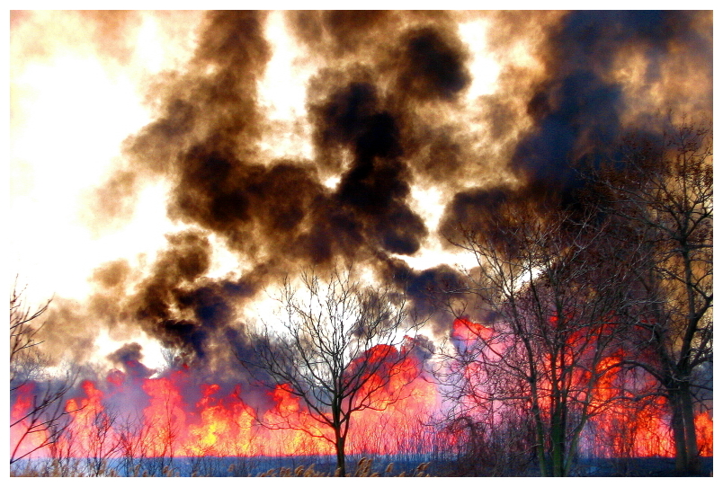fire.JPG